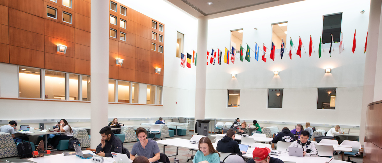 Students studying in the engineering library